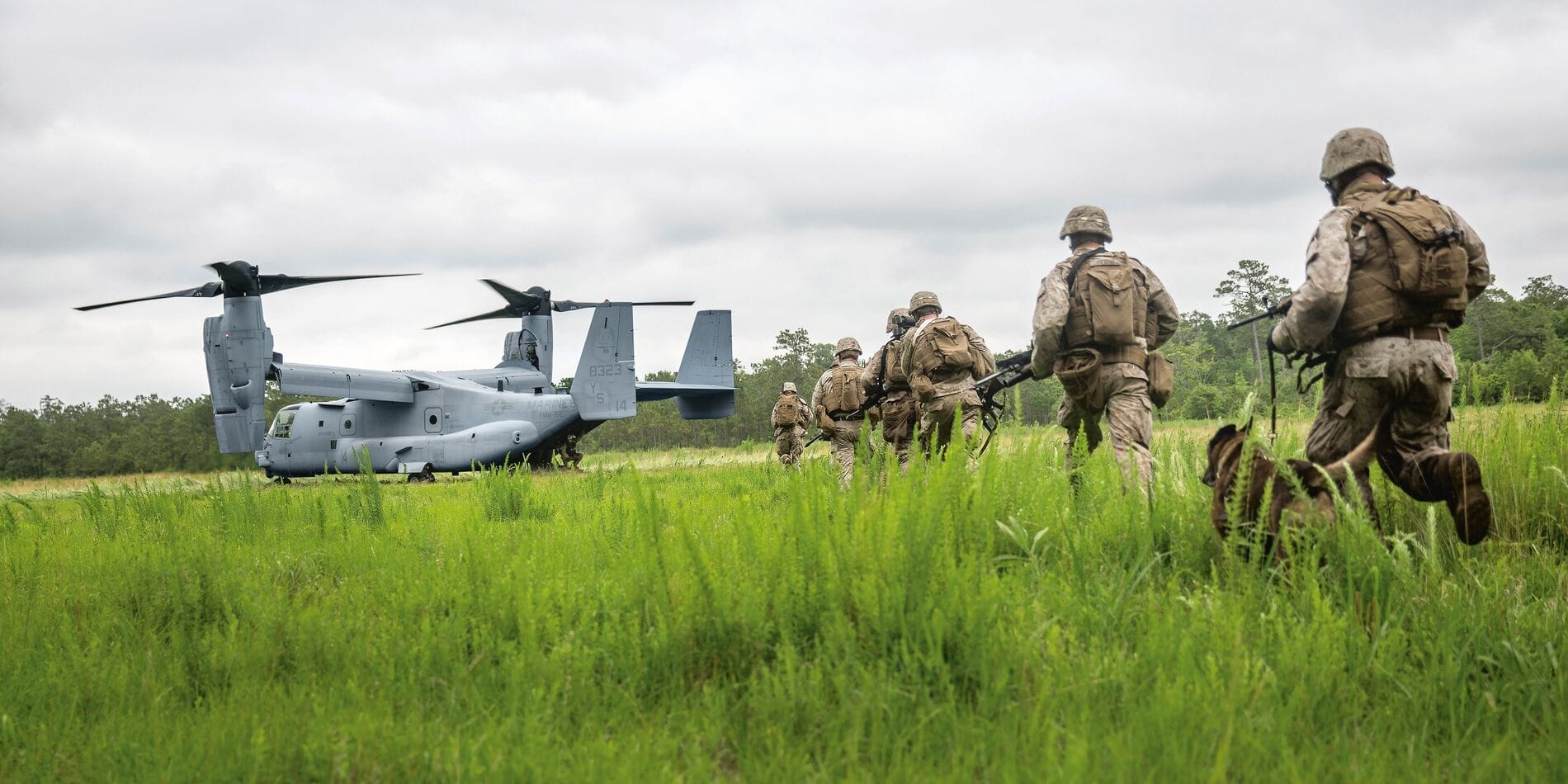 Web_Hero-11-NOVEMBER_Sub1_MV-22_18622692446_1baef34f91_o